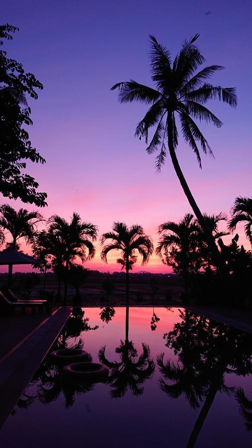 Hoi An Four Seasons Villa Bagian luar foto